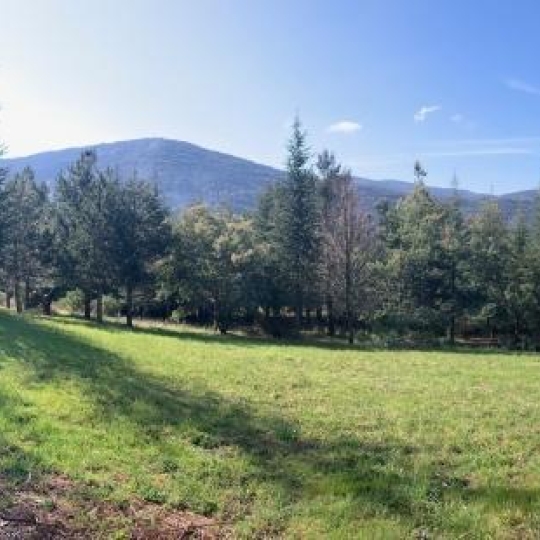  KARIN IMMOBILIER : Terrain | OLARGUES (34390) | 0 m2 | 130 000 € 