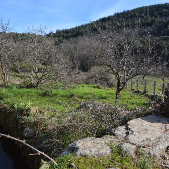  KARIN IMMOBILIER : Maison / Villa | PREMIAN (34390) | 118 m2 | 95 000 € 