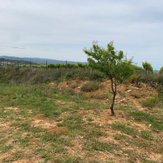  KARIN IMMOBILIER : Terrain | THEZAN-LES-BEZIERS (34490) | 0 m2 | 18 000 € 