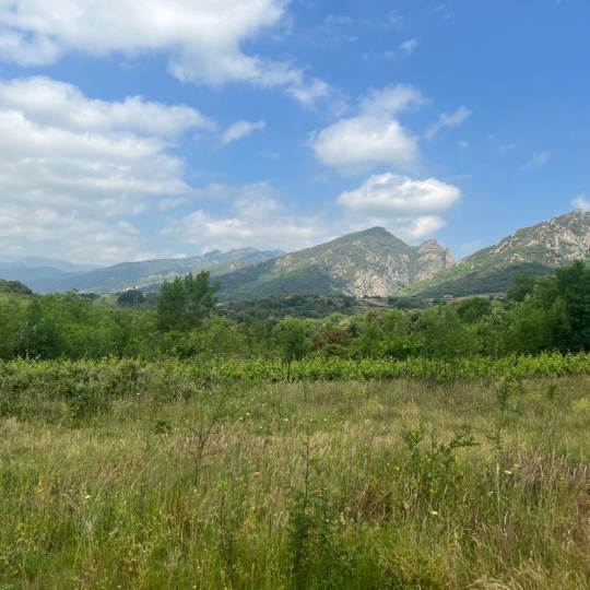  KARIN IMMOBILIER : Terrain | SAINT-MARTIN-DE-L'ARCON (34390) | 0 m2 | 10 500 € 