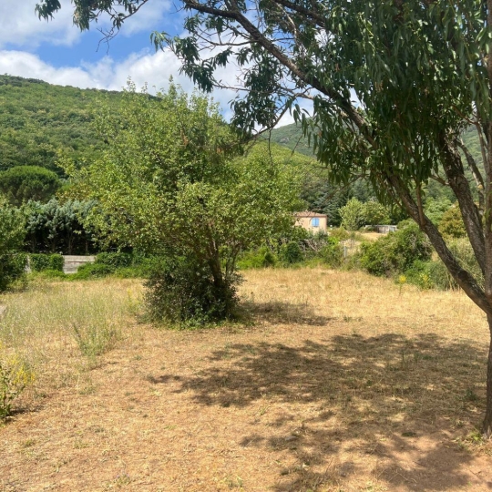  KARIN IMMOBILIER : Terrain | LE BOUSQUET-D'ORB (34260) | 0 m2 | 85 500 € 