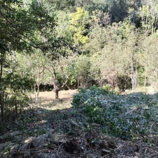  KARIN IMMOBILIER : Maison / Villa | SAINT-VINCENT-D'OLARGUES (34390) | 81 m2 | 55 000 € 