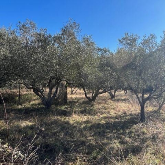  KARIN IMMOBILIER : Terrain | OLARGUES (34390) | 0 m2 | 23 000 € 