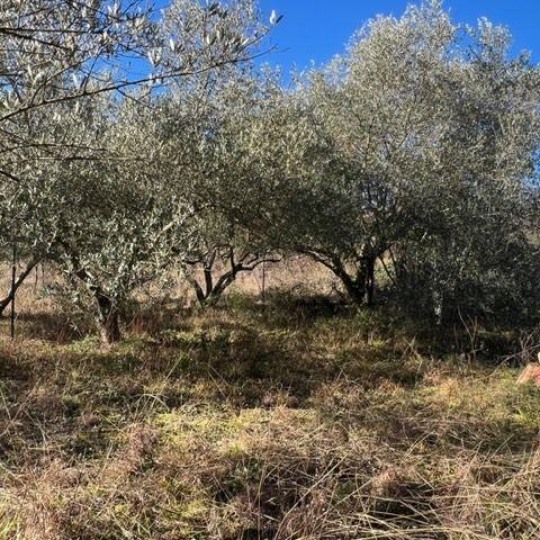  KARIN IMMOBILIER : Terrain | OLARGUES (34390) | 0 m2 | 23 000 € 