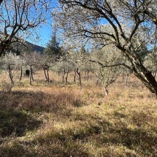  KARIN IMMOBILIER : Terrain | OLARGUES (34390) | 0 m2 | 23 000 € 