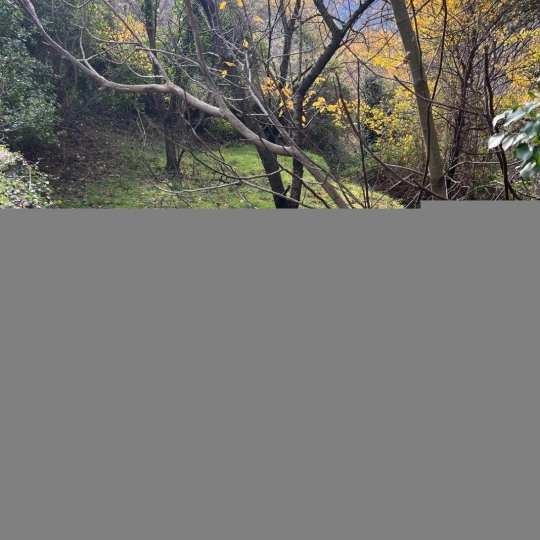  KARIN IMMOBILIER : Terrain | SAINT-JULIEN (34390) | 0 m2 | 30 000 € 