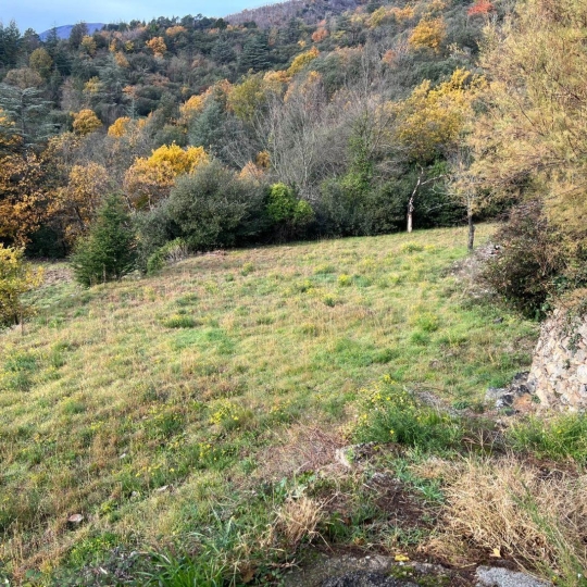  KARIN IMMOBILIER : Terrain | SAINT-JULIEN (34390) | 0 m2 | 30 000 € 