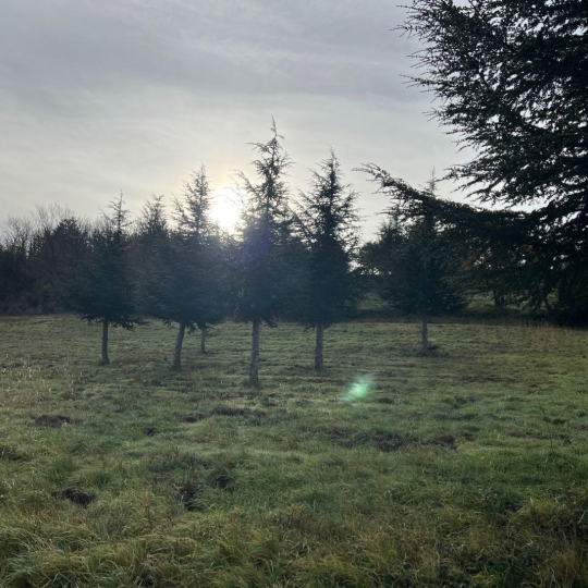  KARIN IMMOBILIER : Terrain | OLARGUES (34390) | 0 m2 | 18 000 € 