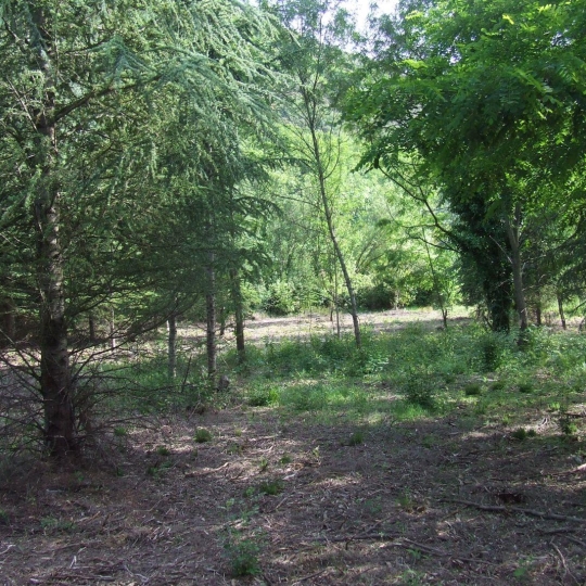  KARIN IMMOBILIER : Terrain | OLARGUES (34390) | 0 m2 | 13 000 € 