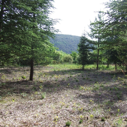  KARIN IMMOBILIER : Terrain | OLARGUES (34390) | 0 m2 | 13 000 € 