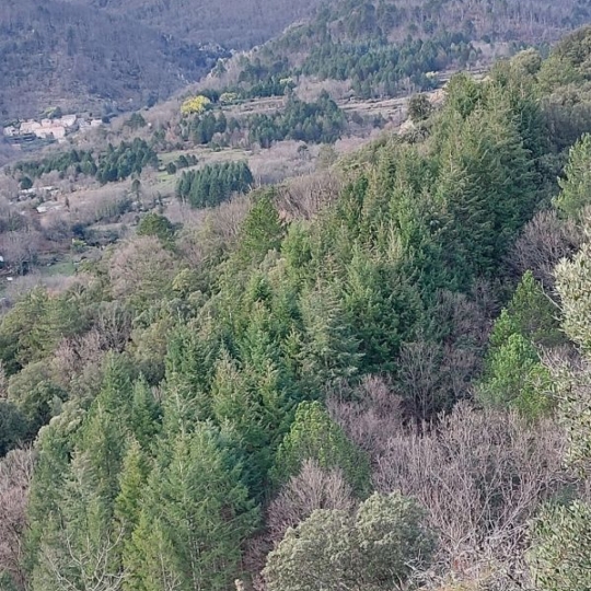  KARIN IMMOBILIER : Ground | SAINT-VINCENT-D'OLARGUES (34390) | 0 m2 | 34 000 € 