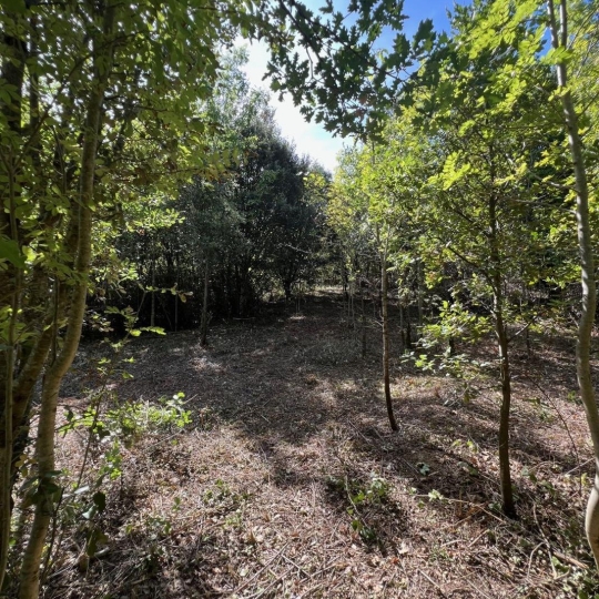  KARIN IMMOBILIER : Ground | PREMIAN (34390) | 0 m2 | 11 000 € 