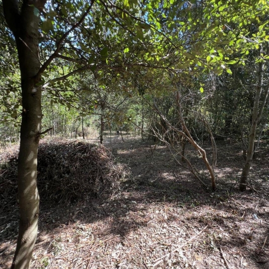  KARIN IMMOBILIER : Ground | PREMIAN (34390) | 0 m2 | 11 000 € 
