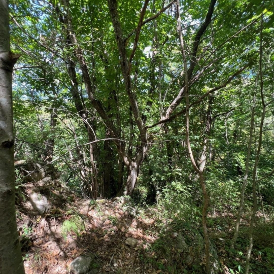  KARIN IMMOBILIER : Ground | PREMIAN (34390) | 0 m2 | 11 000 € 