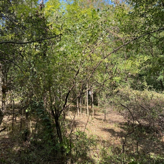  KARIN IMMOBILIER : Ground | PREMIAN (34390) | 0 m2 | 11 000 € 