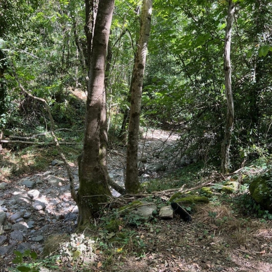  KARIN IMMOBILIER : Ground | PREMIAN (34390) | 0 m2 | 11 000 € 