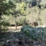  KARIN IMMOBILIER : Maison / Villa | SAINT-VINCENT-D'OLARGUES (34390) | 81 m2 | 55 000 € 