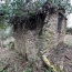  KARIN IMMOBILIER : Terrain | SAINT-VINCENT-D'OLARGUES (34390) | 9 m2 | 16 000 € 