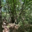  KARIN IMMOBILIER : Ground | PREMIAN (34390) | 0 m2 | 11 000 € 