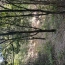  KARIN IMMOBILIER : Ground | PREMIAN (34390) | 0 m2 | 11 000 € 