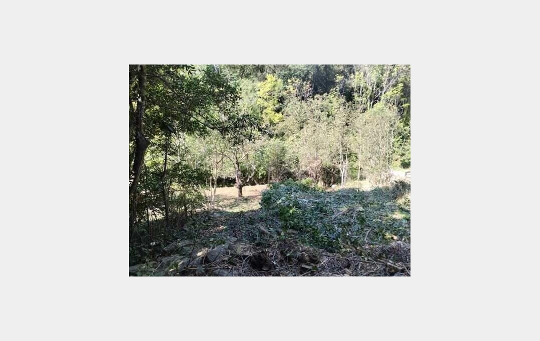 KARIN IMMOBILIER : Maison / Villa | SAINT-VINCENT-D'OLARGUES (34390) | 81 m2 | 55 000 € 