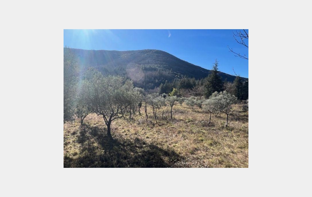 KARIN IMMOBILIER : Terrain | OLARGUES (34390) | 0 m2 | 23 000 € 