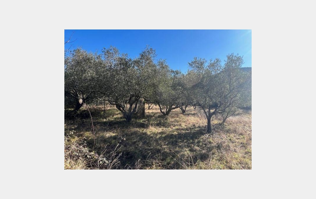 KARIN IMMOBILIER : Terrain | OLARGUES (34390) | 0 m2 | 23 000 € 