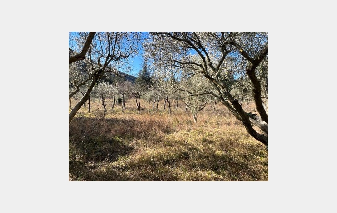 KARIN IMMOBILIER : Terrain | OLARGUES (34390) | 0 m2 | 23 000 € 