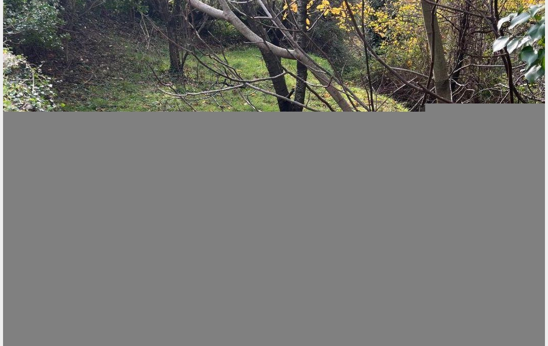 KARIN IMMOBILIER : Terrain | SAINT-JULIEN (34390) | 0 m2 | 30 000 € 