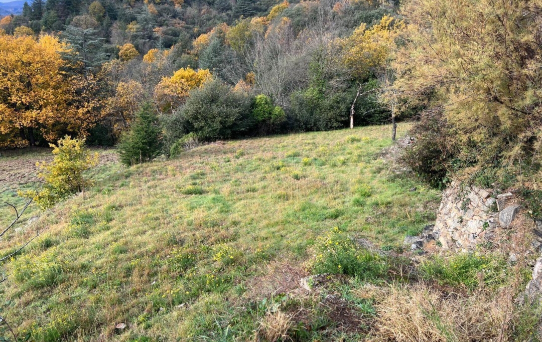 KARIN IMMOBILIER : Terrain | SAINT-JULIEN (34390) | 0 m2 | 35 000 € 