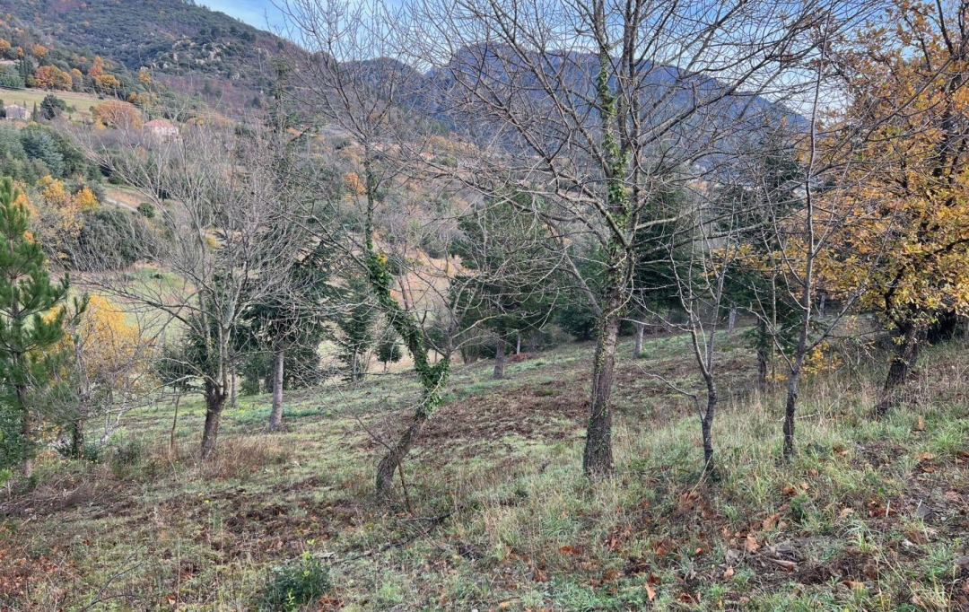 KARIN IMMOBILIER : Terrain | OLARGUES (34390) | 0 m2 | 18 000 € 