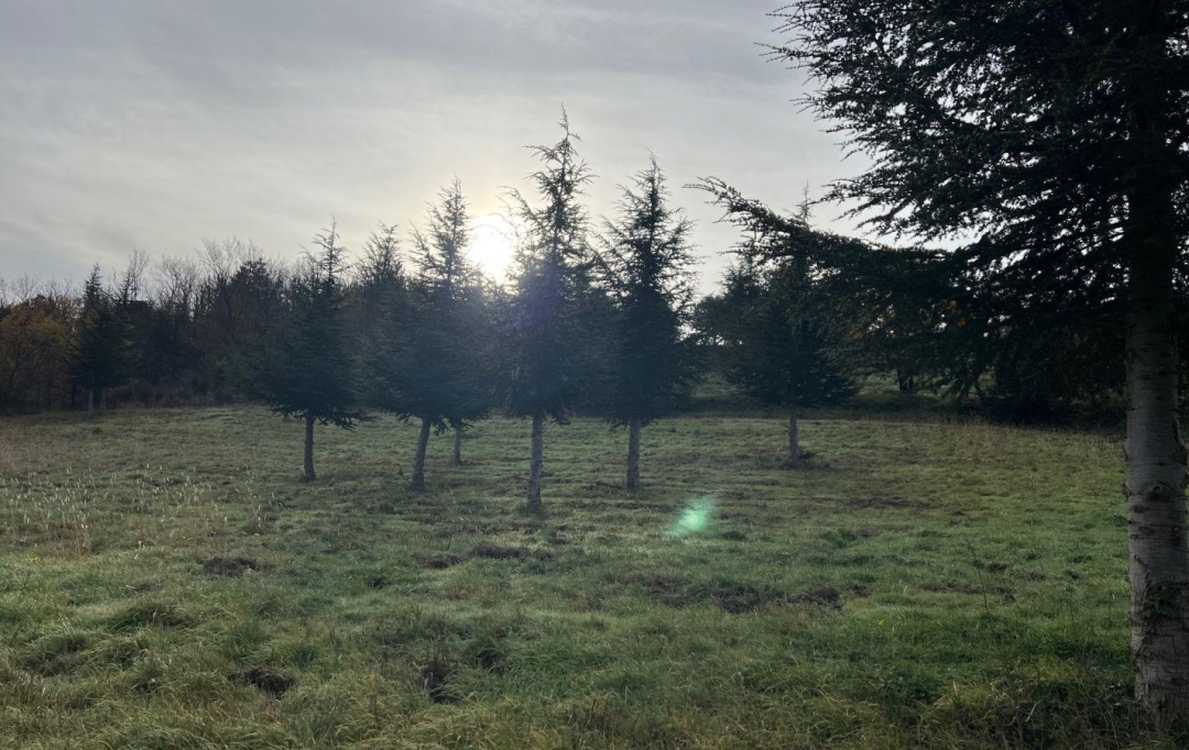 KARIN IMMOBILIER : Terrain | OLARGUES (34390) | 0 m2 | 18 000 € 