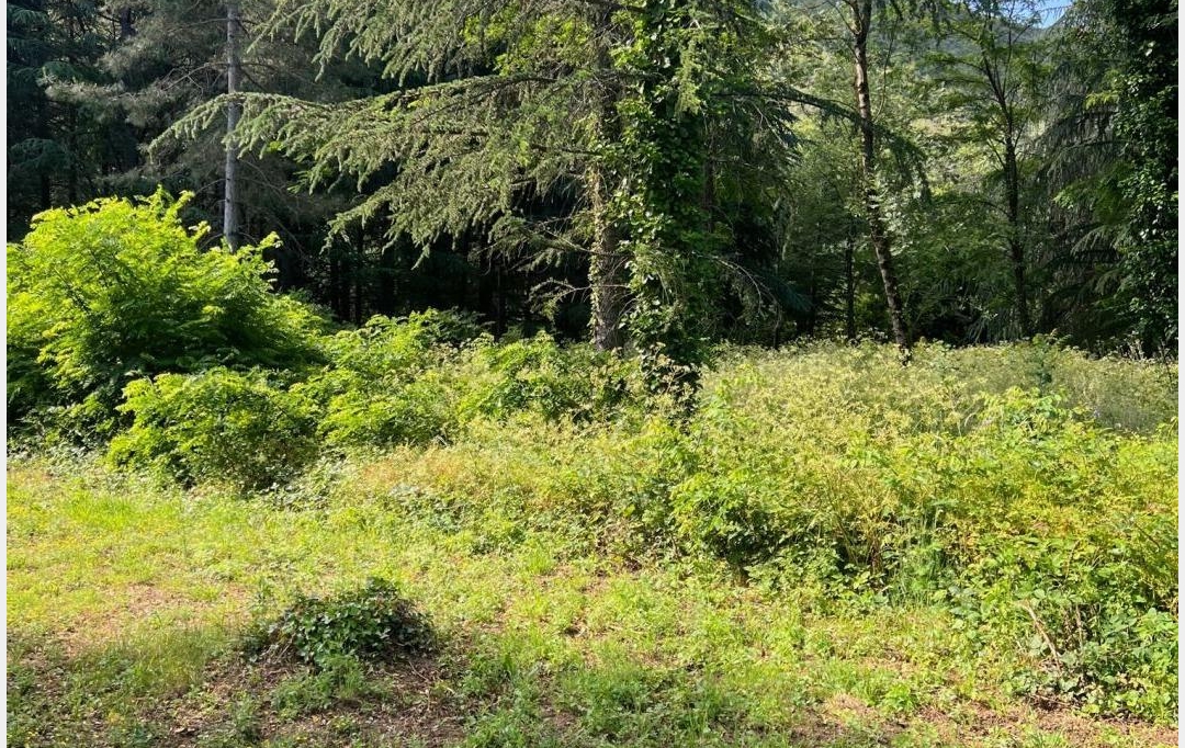 KARIN IMMOBILIER : Terrain | OLARGUES (34390) | 0 m2 | 13 000 € 