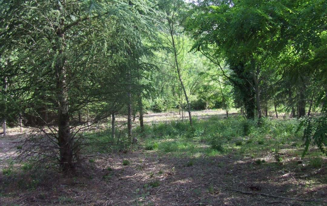 KARIN IMMOBILIER : Terrain | OLARGUES (34390) | 0 m2 | 13 000 € 