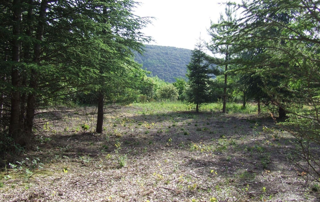 KARIN IMMOBILIER : Terrain | OLARGUES (34390) | 0 m2 | 13 000 € 