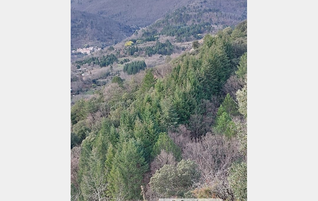 KARIN IMMOBILIER : Ground | SAINT-VINCENT-D'OLARGUES (34390) | 0 m2 | 34 000 € 