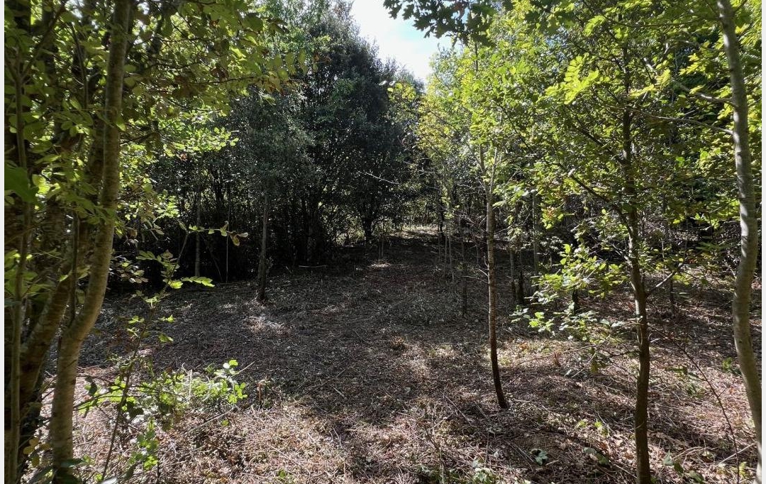 KARIN IMMOBILIER : Ground | PREMIAN (34390) | 0 m2 | 11 000 € 