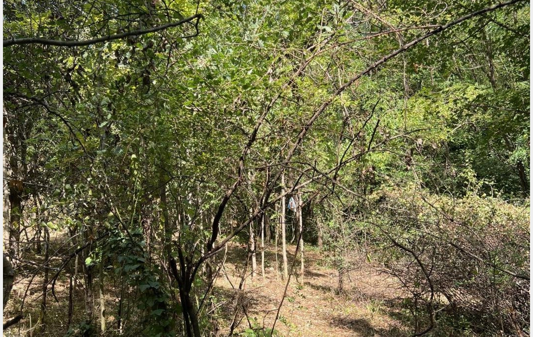 KARIN IMMOBILIER : Ground | PREMIAN (34390) | 0 m2 | 11 000 € 