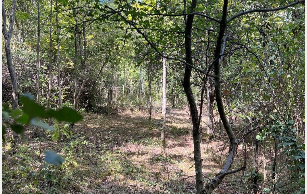 KARIN IMMOBILIER : Ground | PREMIAN (34390) | 0 m2 | 11 000 € 