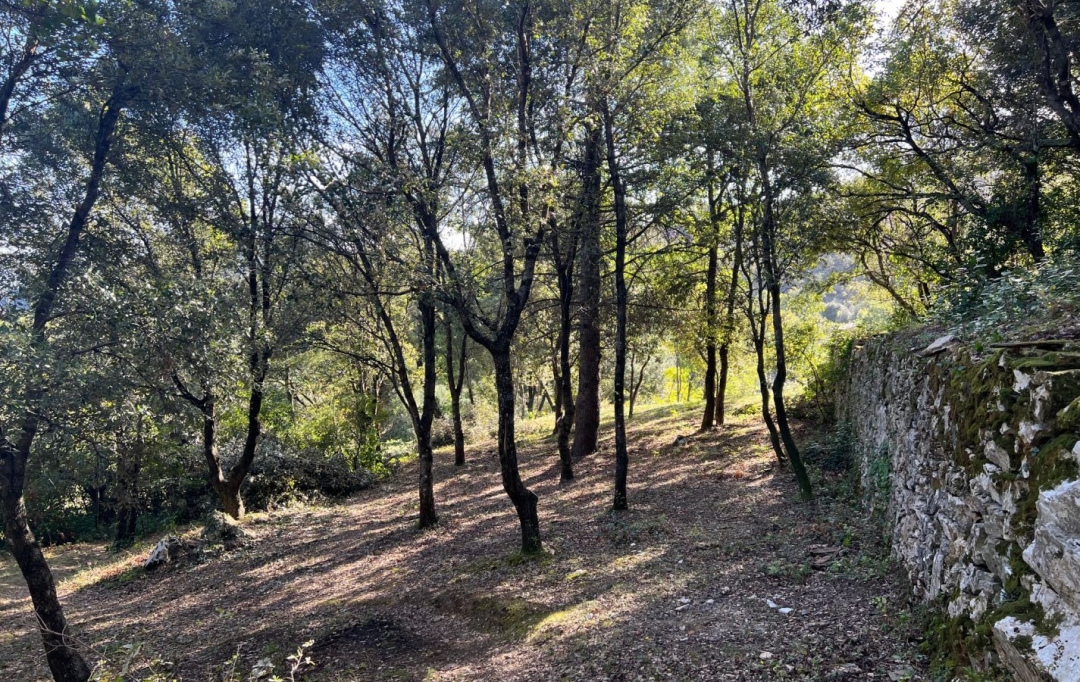 KARIN IMMOBILIER : Ground | OLARGUES (34390) | 36 m2 | 89 000 € 