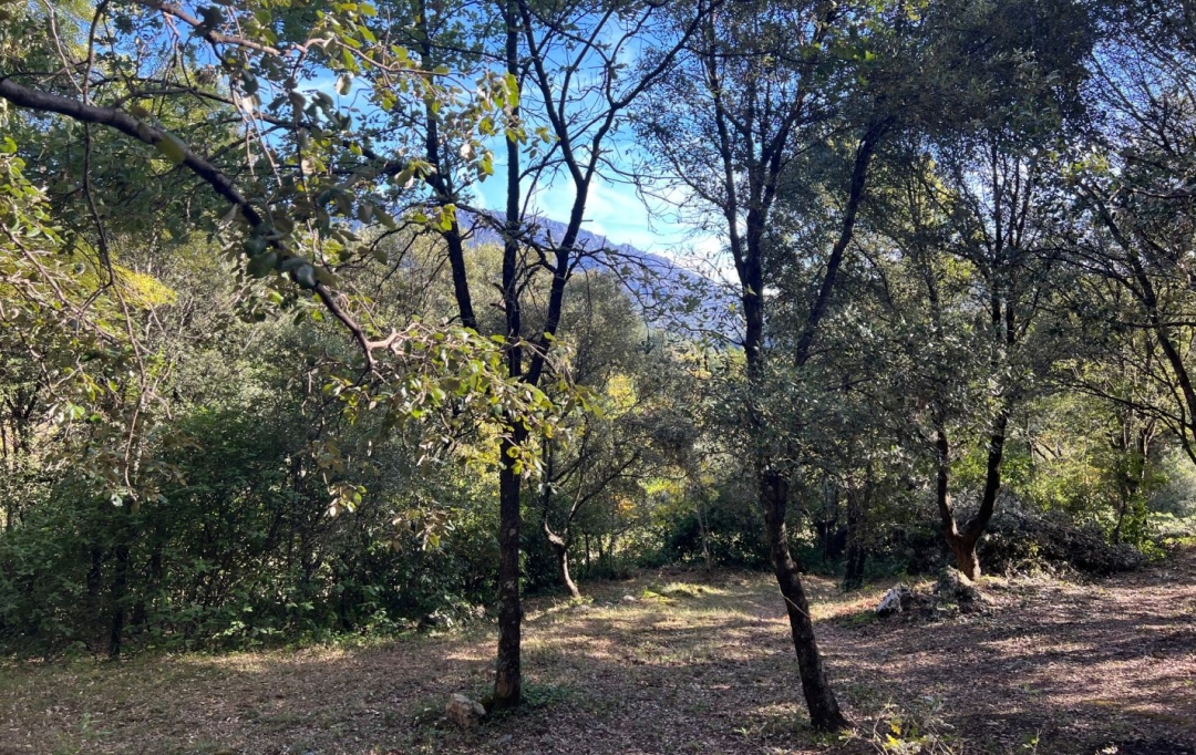 KARIN IMMOBILIER : Ground | OLARGUES (34390) | 36 m2 | 89 000 € 