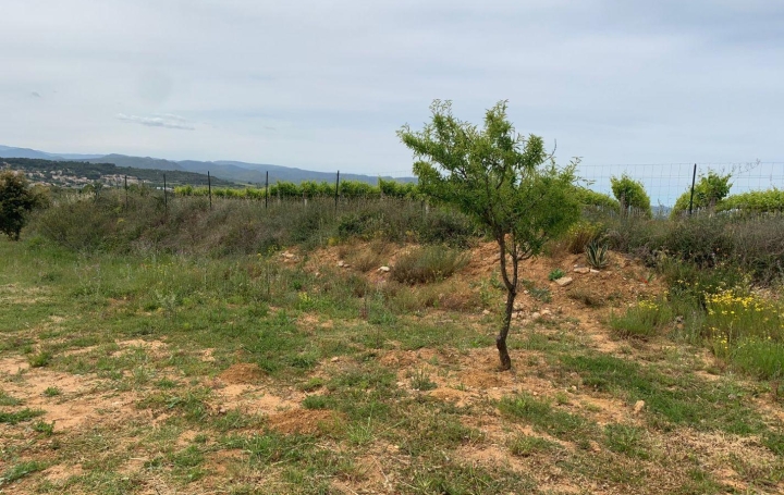 KARIN IMMOBILIER : Terrain | THEZAN-LES-BEZIERS (34490) | 0 m2 | 18 000 € 