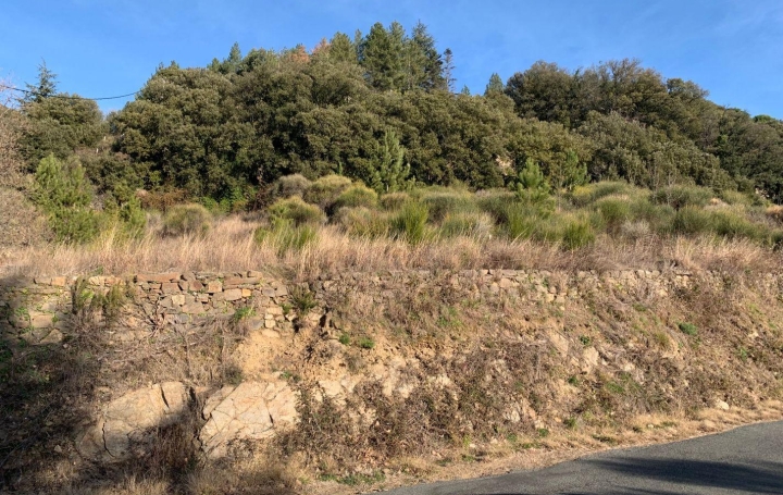 Terrain OLARGUES 10 000 € Terrain OLARGUES 10 000 €