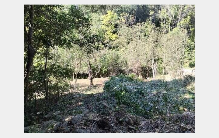 Maison de village SAINT-VINCENT-D'OLARGUES 81 m2 55 000 € Maison de village SAINT-VINCENT-D'OLARGUES 81 m2 55 000 €