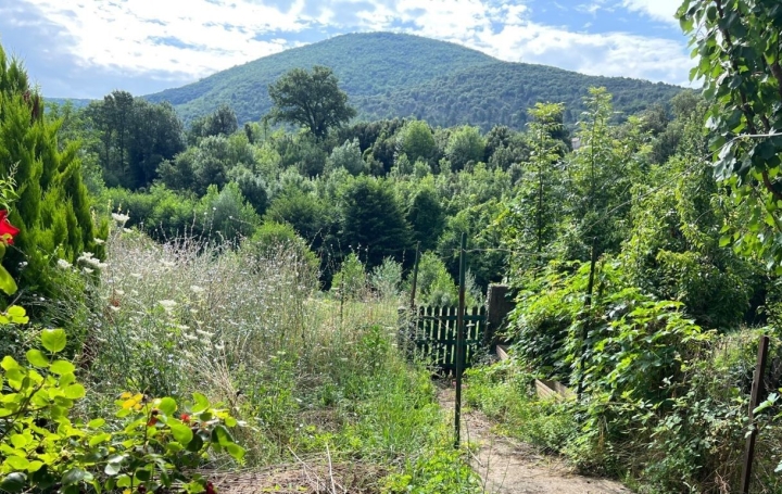 Maison de village SAINT-ETIENNE-D'ALBAGNAN 167 m2 128 000 € Maison de village SAINT-ETIENNE-D'ALBAGNAN 167 m2 128 000 €